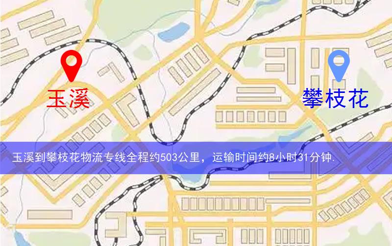 玉溪到攀枝花物流多少公里 玉溪到攀枝花物流多少公里